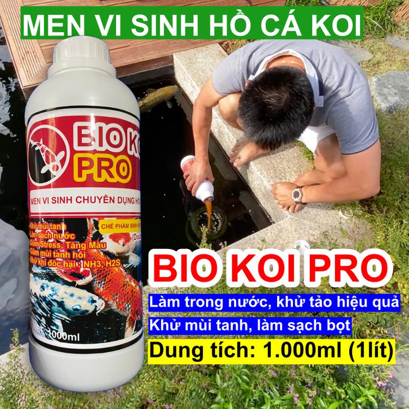 Men vi sinh Bio Koi Pro cho hồ cá koi Làm sạch cặn bẩn trong nước hồ koi