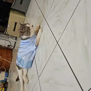 Pawsitive Vibes Baju Koko untuk Kucing edisi Lebaran - Set Kostum Kucing Koko dan Peci Murah - Pet Shirt - Baju Koko Kucing Bahan Katun Premium, Adem Dan Nyaman - Kostum Kemeja Koko Untuk Kucing -