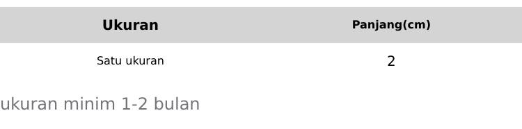 gurita eceran selusin berkualitas terbaik