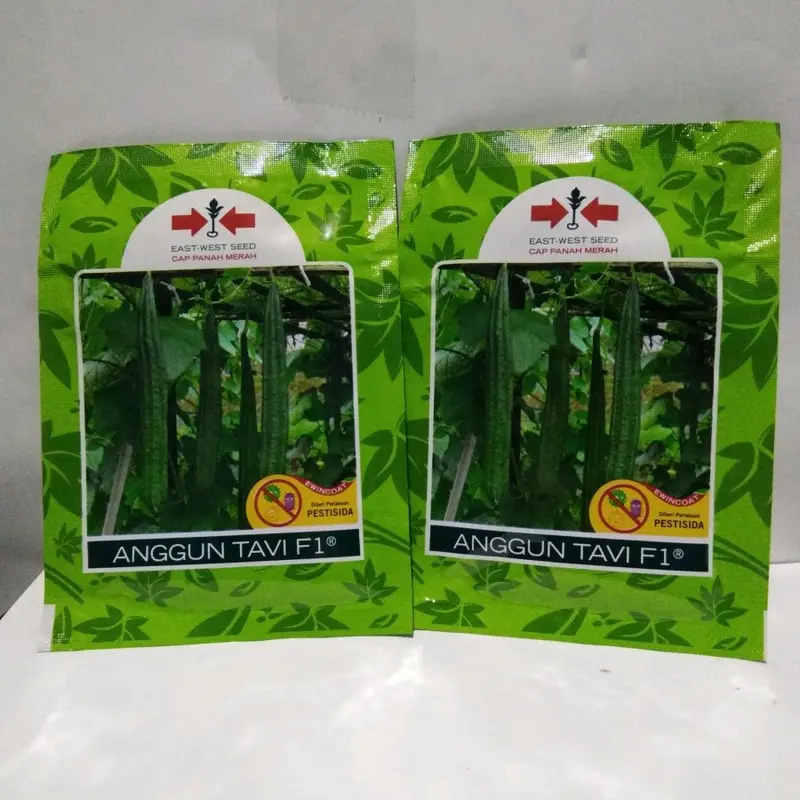Benih Bibit Gambas Oyong Anggun Tavi F1 (Tahan Virus, mudah Merambat dan Tahan Simpan) Isi 75 Butir Kadaluarsa 2026 Terbaru - Cap Panah Merah (Tanaman Sayuran Umbi Hijau Daun) 4
