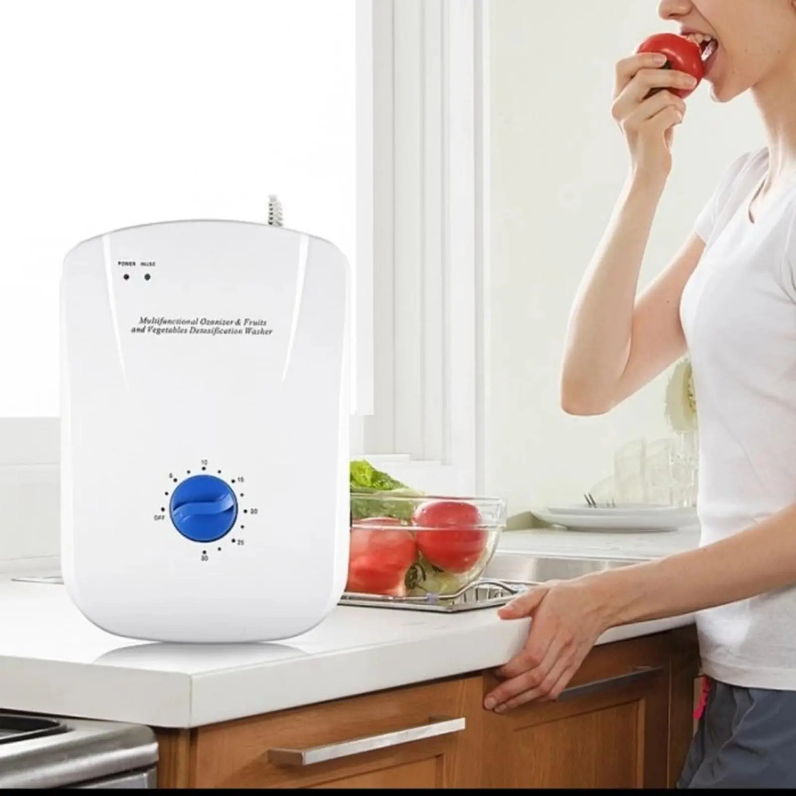 Sterilizer Ozone buah sayur multifungsi ozon ruangan ozone generator