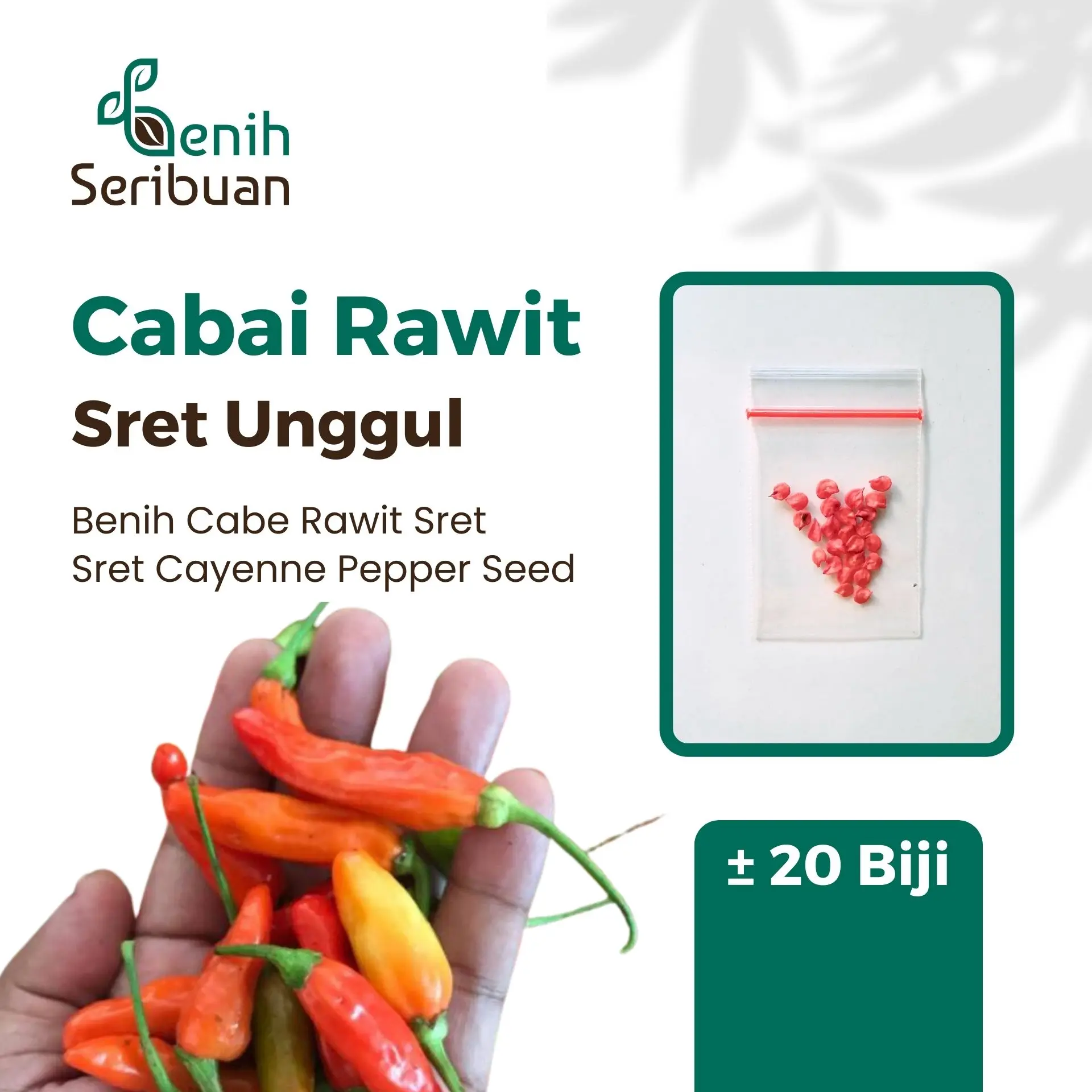 20 Bibit Cabe Rawit Sret Benih Cabai Rawit Merah Setan Sayuran Pedas Bintang Asia Unggul Berkualitas