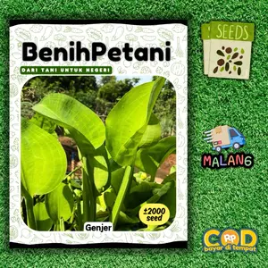Isi ±2000 Biji - Benih Sayuran Genjer / Kelayan / Eceng Sawah Tanaman Air