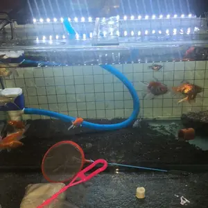 Lampu LED Celup Aquarium Aquascape 2 Baris LED Tahan Air T4 20-60 cm Best Seller Hemat Energi