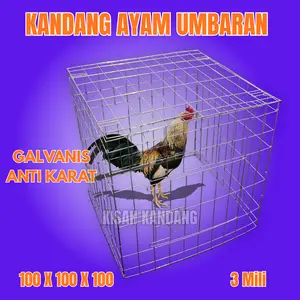 Kandang Kotak Galvanis Ayam/Bebek/Kucing Anti Karat Luas Kokoh Material Premium Kawat 3mm Tahan Lama Serbaguna