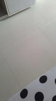 Product Review of BINBINKIDS KAOS PITA ANAK PEREMPUAN LUCU BAHAN KATUN 1-8 TAHUN from s**e 0