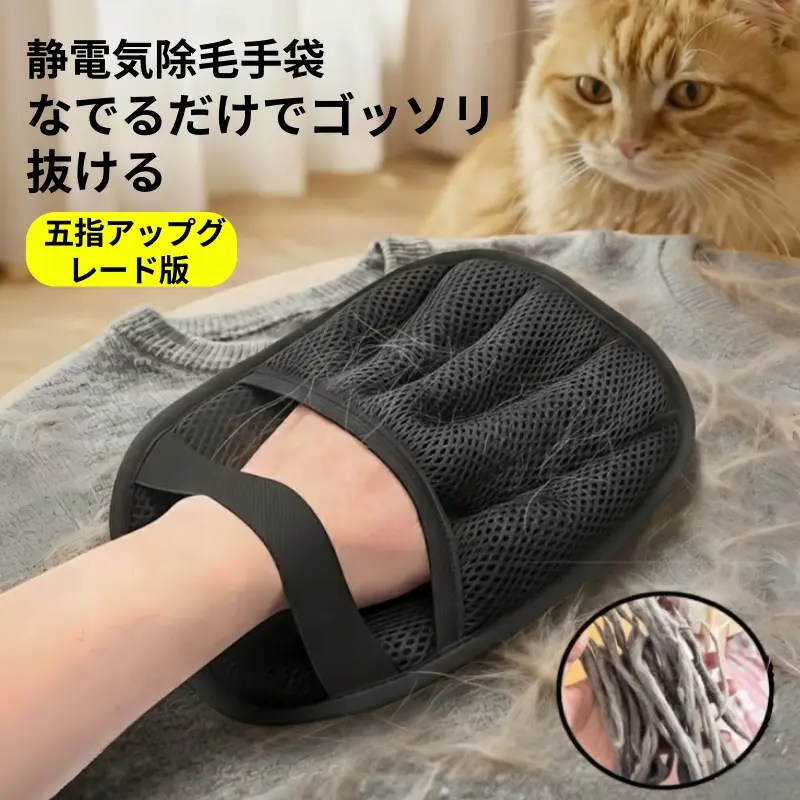 TikTok Shop：衣類、美容などの商品が送料無料