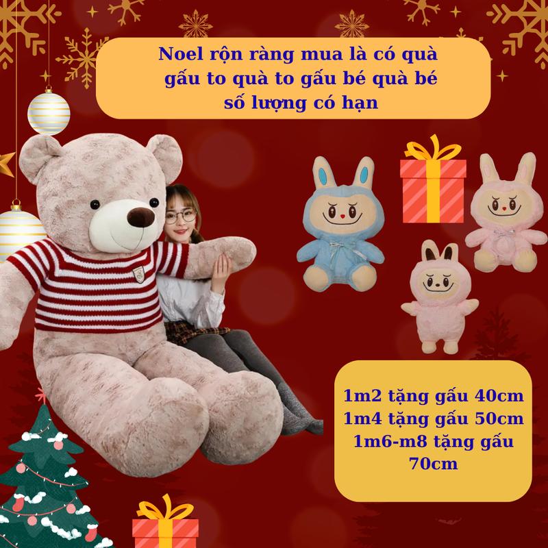  Gấu bông Teddy cao cấp lông xoăn nhập khẩu đủ size 1m -1m4 gấu bông to khổng lồ  tặng gấu nhỏ cho size từ 1m2  