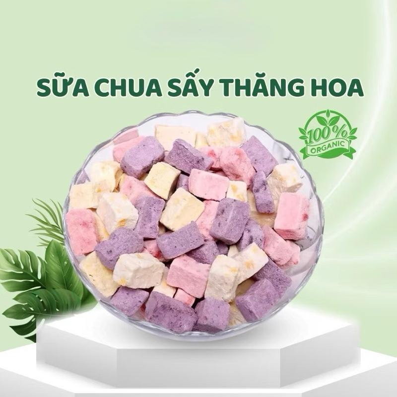 Sữa Chua Viên Trái Cây Sấy Thăng Hoa Sữa Chua Sấy Khô Ăn Vặt