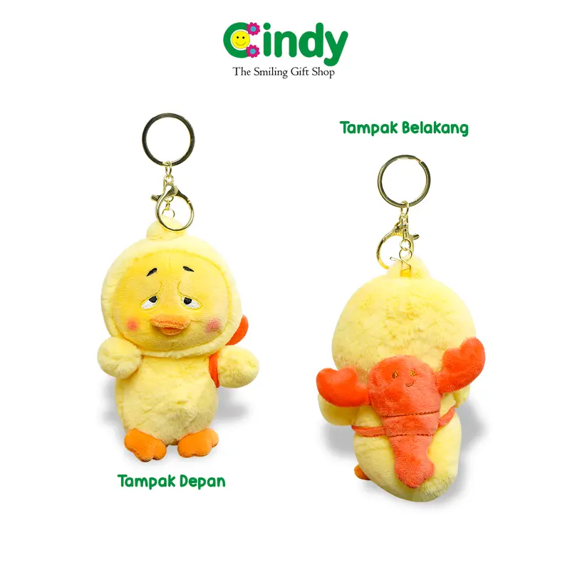 Cindy Gantungan Kunci Upset Duck - Sad Duck Key Chain - Bagcharm Viral Mulut Bahan - CBG0985 2