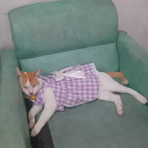 Baju Dress Kucing Anjing Kotak2 Pita