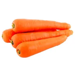 Replika sayuran wortel (1pcs) / Dummy sayuran / mainan anak / dekorasi meja makan