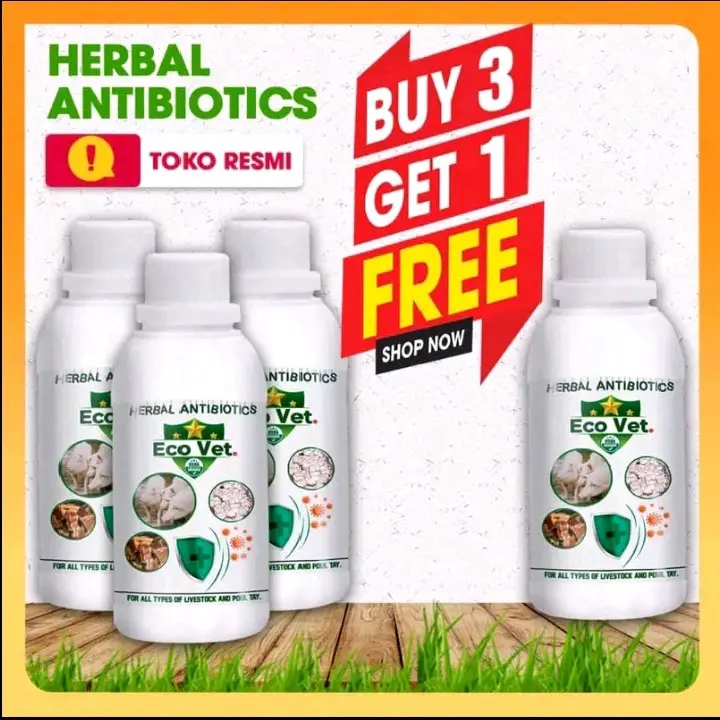 Ecovet herbal antibiotik untuk pakar kesehatan hewan - ( Beli 3 gratis 1 )