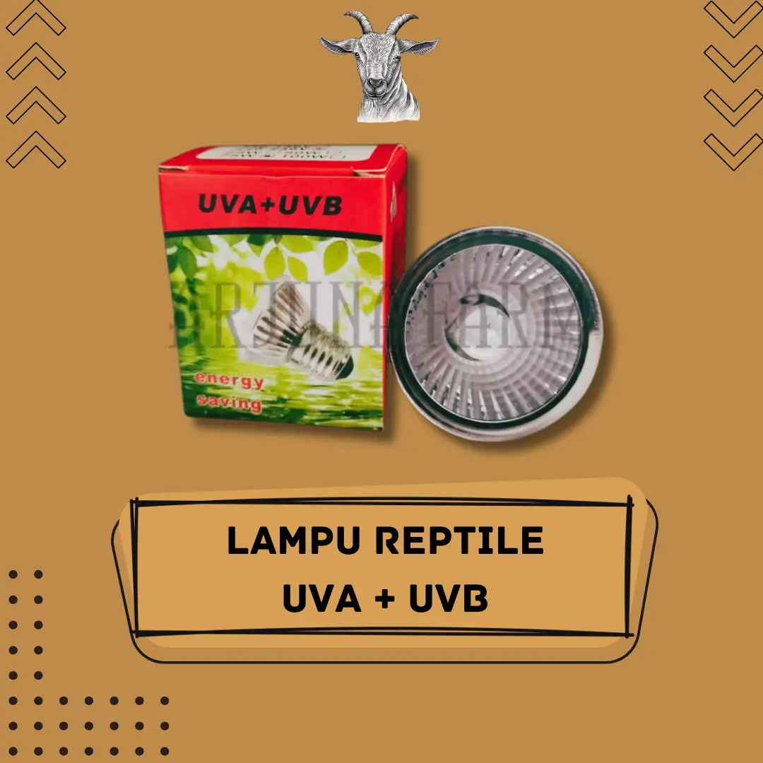 Lampu UVA UVB Lampu Reptil Kura kura Kadal Iguana Penyu