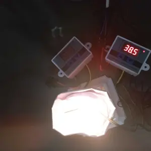 Thermostat Termostat Digital XH-W3001 Mesin Tetas Telur Full Otomatis Penetas Telur Otomatis