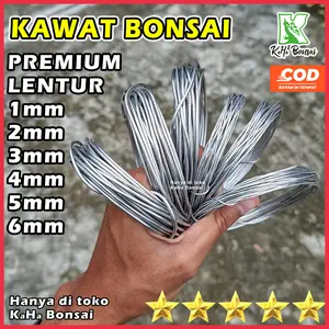Kawat Bonsai Murah Kawat Bonsai Bagus Kawat Bonsai Silver Kawat Bonsai Per 5 Meter Kawat Bonsai Meteran Kawat Bonsai 1mm Kawat Bonsai 2mm Kawat Bonsai 3mm Kawat Bonsai 4mm Kawat Bonsai 5mm Kawat Aluminium Kawat Bonsai Per Kg Kawat Bonsai 1 Kg Tali Tanaman