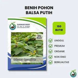 Biji Benih Pohon Balsa Putih (Superior Seeds)