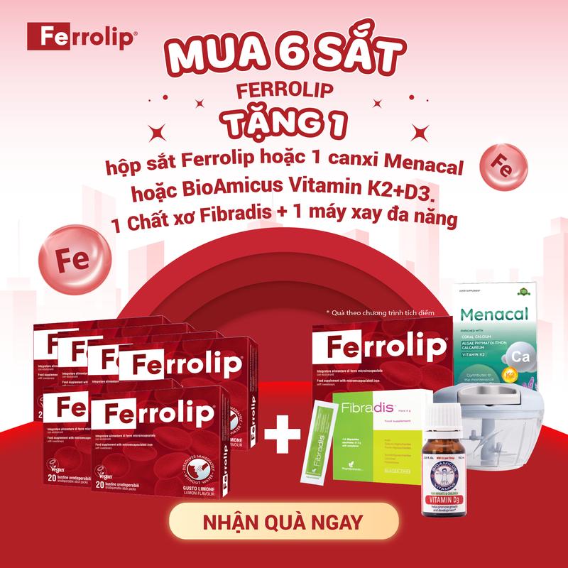 Combo 6 Sắt Ferrolip - Bổ sung sắt cho người lớn - 1 hộp 20 gói