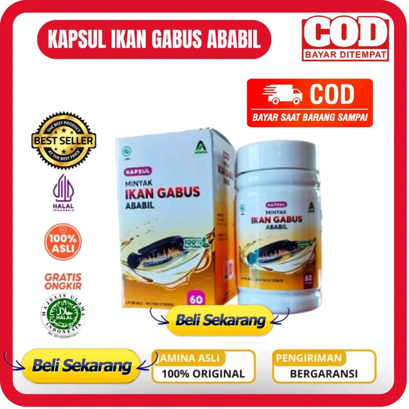 MINYAK IKAN GABUS ISI 60 - KAPSUL MINYAK IKAN GABUS ABABIL EKSTRAK IKAN KUTUK 0