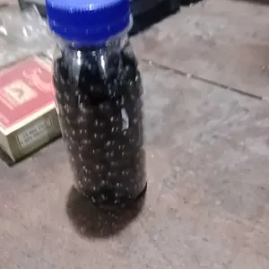 Jamu Merpati GINGSENG TEKI Buat Usaha UMKM Jamu Merpati (Untuk Dijual Lagi) isi 1kg, 500gr, 300 btr