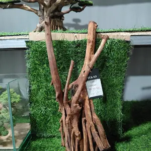 Hardcase Aquascape akuarium kayu Tunggak Untuk Aquascape