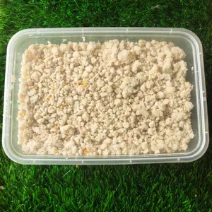 Ampas Tahu cocok untuk pakan hamster,  marmut,  kelinci dan hewan kecil lainnya