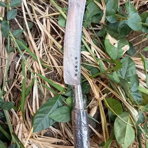 Alat Perkebun Cap Bintang Lima - Motong Bambu, Ranting, Pembersih Semak Sepuhan Tua