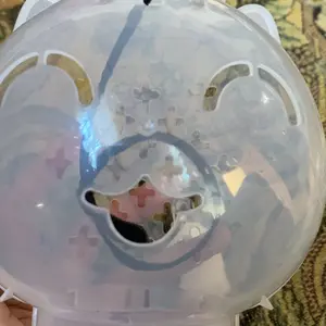 1PC Penutup Kepala Kucing Space Hood Helm Pelindung Anak Kucing Berbentuk Bola Anti-Gigitan