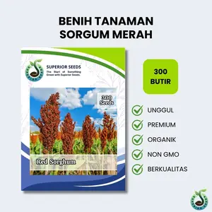 Biji Benih Sorgum Merah (Superior Seeds)