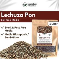 Gambar Lechuza Pon - Soil Free Media Tanam Super Porous Tanaman Hias dari workplant official Kota Surabaya 1 Tokopedia