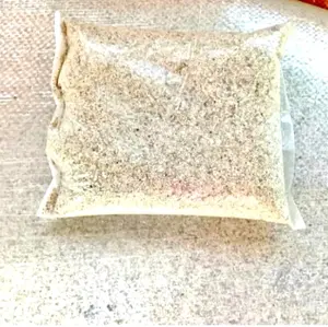 Pasir Pantai Halus 1 kg Asli Alami, Kualitas bagus, Pasir Aquarium, Pasir Laut, Pasir Mainan Anak