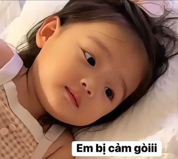 Product Review of Set bộ quần áo thun nữ eovi cổ tròn mix quần vải suông dài đẹp from N**n H** N** ❤**🩹 3