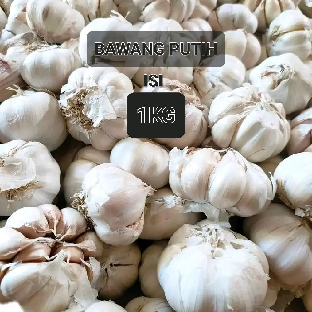 Bawang Putih Bersih 1 KG-Bumbu Dapur Bawang Putih Spices Rempah Garlic Food Masakan