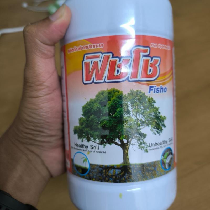 Fisho (Fish Hydrolysate) 1L - TikTok Shop Malaysia