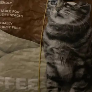 LEMIAO Soya Cat Litter Pasir Kucing Tofu Gumpal Wangi 7L/2.5KG Organik