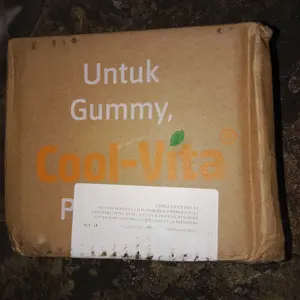 Coolvita 3 Box DHA Gummy - Suplemen Vitamin Anak dengan Minyak Alga DHA 50mg Omega 3 Alternatif Minyak Ikan untuk Kesehatan Mata dan Perkembangan Otak - Original dan BPOM