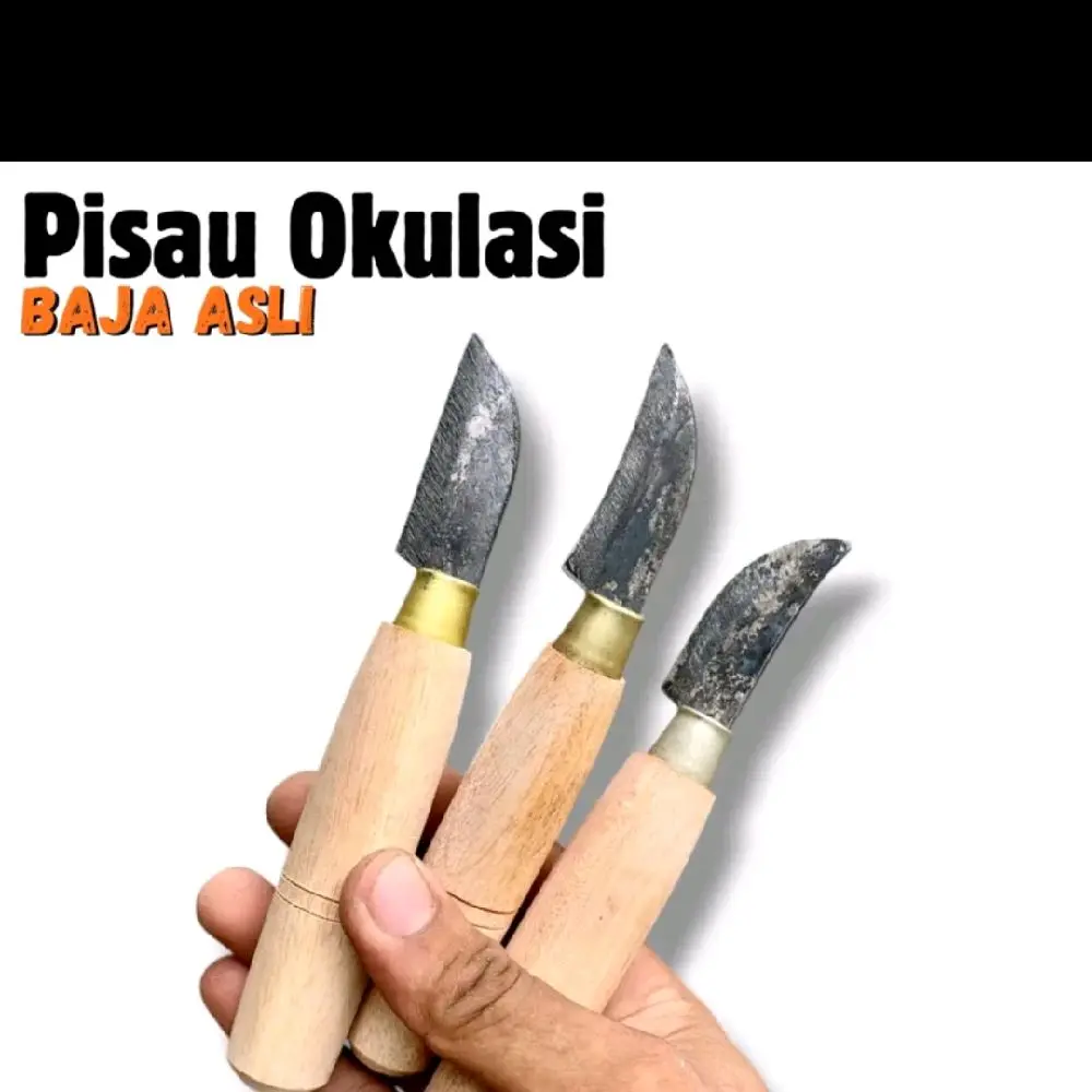 Pisau Okulasi Baja Asli untuk Grafting Pisau Raut Bambu Ideal Stek Taman dan Kerajinan Tangan