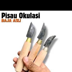 Pisau Okulasi Baja Asli untuk Grafting Pisau Raut Bambu Ideal Stek Taman dan Kerajinan Tangan