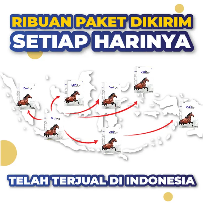 Duzi Pure Susu Kuda Bubuk dengan Herbal - Paket 5 Box 3