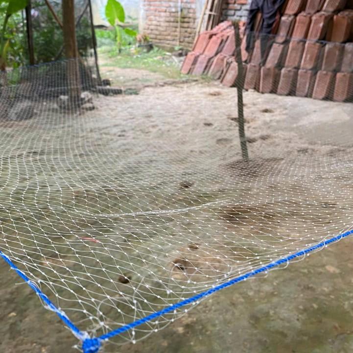 Jaring Anco Penangkap Ikan Tradisional Lubang 1 1/4 Inchi Senar 0,28 - Ukuran 2x2 Meter 3