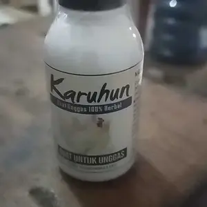 karuhun obat herbal alami untuk ayam sakit