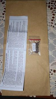 Product Review of biji benih tanaman bunga pacar air tumpuk mix warna siap semai from T**y H**i 0