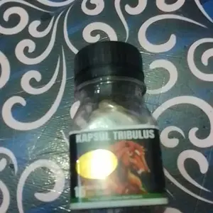 ASHYFA HERBAL KAPSUL EKTRAK TRIBULUS ORIGINAL 100% HALAL MUI