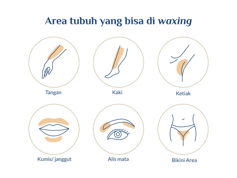 NUYU Sunflower Honey Sugar Wax Kit Bundling 2pcs - Waxing / Waxing ketiak Krim Penghilang Bulu 6