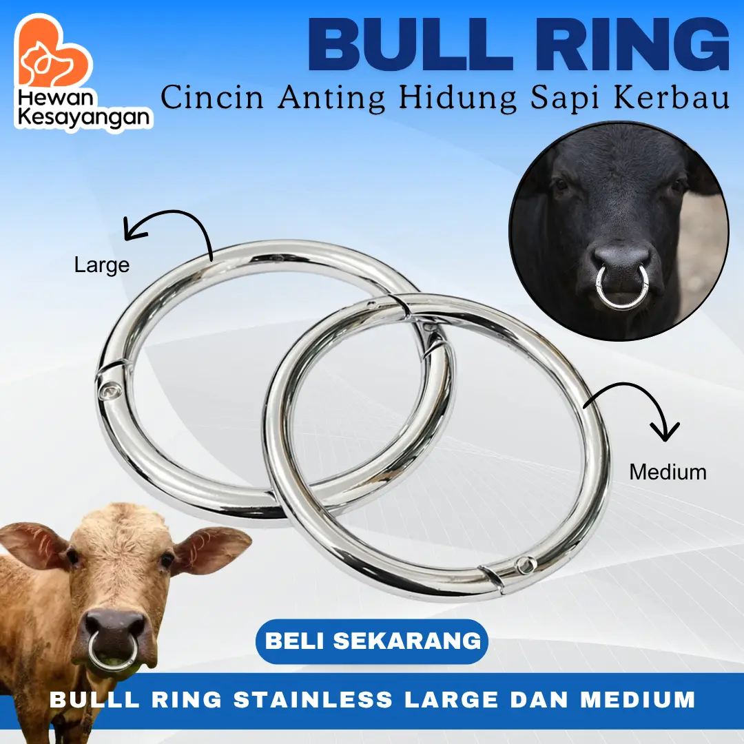 Bull Ring Cincin Anting Hidung Sapi Kerbau Lembu Diameter 8cm dan 9cm