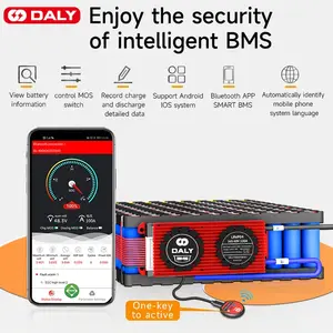 BMS Smart Lifepo4 4S 12V DALY WATERPROOF 40A 60A 80A 100A