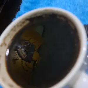 Kopi Bubuk hitam 77 Berat 1 Kg aroma enak rasa pahit robusta Coffee Warung