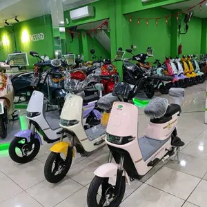 Sepeda Listrik By Greentech Type M6 (Emsix)