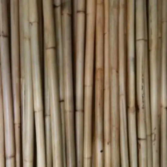 Tongkat Bambu Pramuka Tinggi 160 cm - Bahan Alami dan Kuat untuk Aktivitas Outdoor