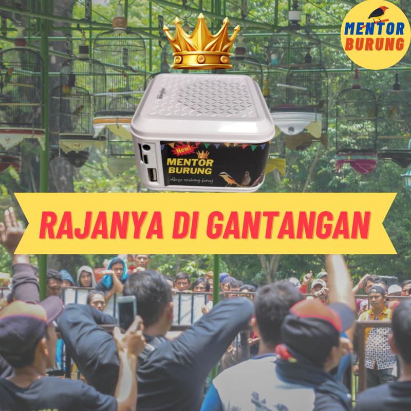 [COD] Mp3 Burung Speaker Khusus Pemasteran Burung Lomba Paling Gacor Murai Pleci Love Bird Falk Kenari Parkit Jalak Cucak Rowo Bass Jam Black 4